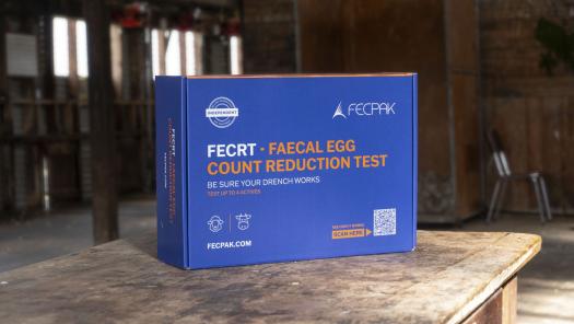 How FECPAK FECRT Works